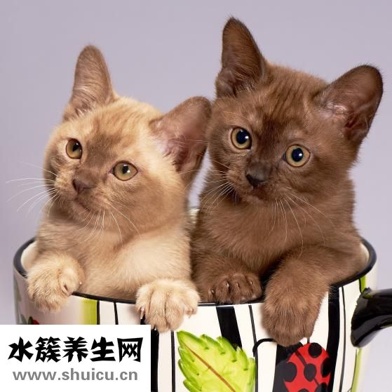 怎么样消除紧张心理