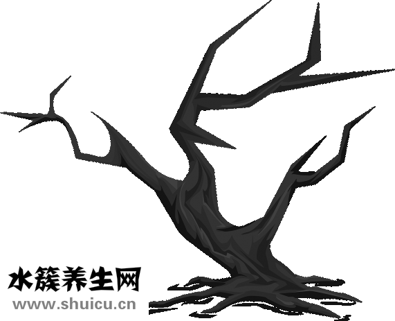 金可儿怎么样