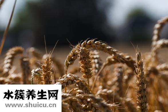 鞘膜积液怎么办