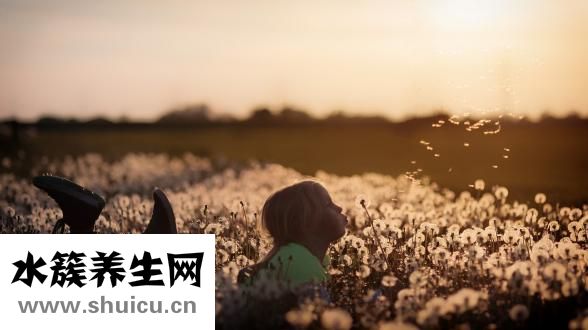 婴姿坊怎么样