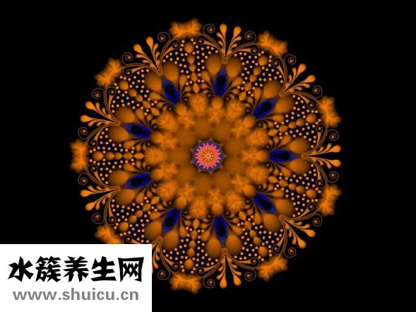 水之蔻密集怎么样