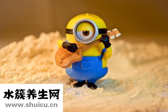马上有什么