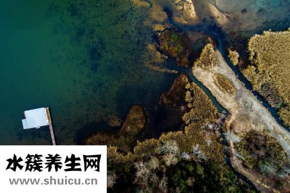 儿童近视眼怎么恢复