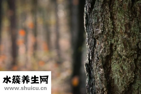 你能坚持多久