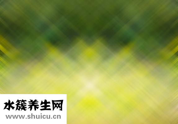 大便绿色怎么回事