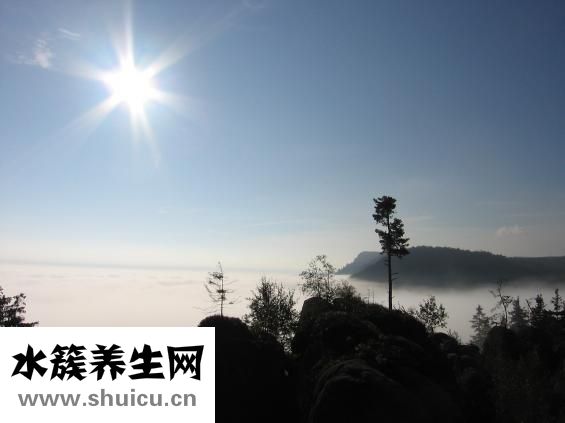 浮屠是什么