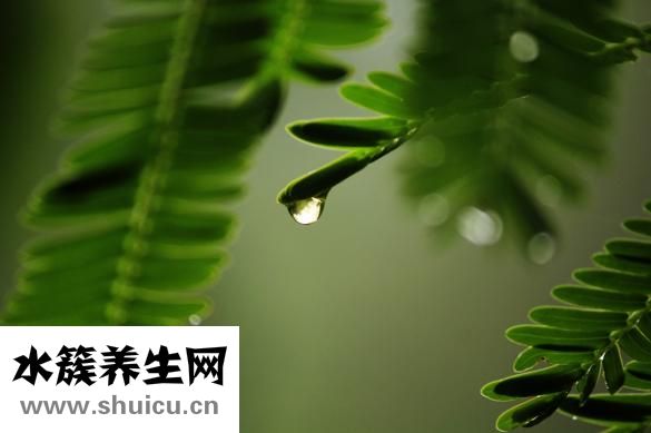 娃丽比怎么样