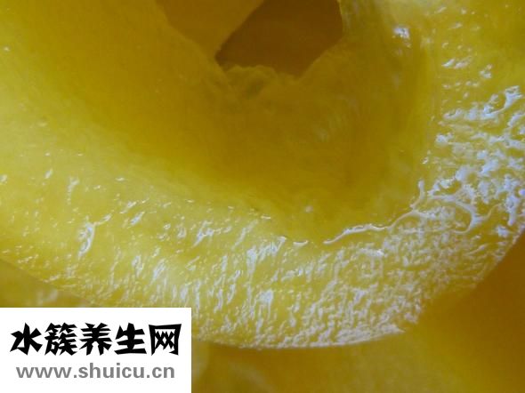 哺育的近义词是什么