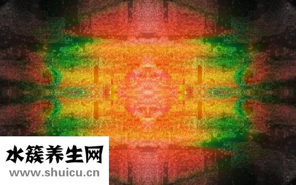 吉普怎么样