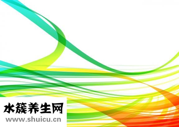 曲姿减肥药怎么样