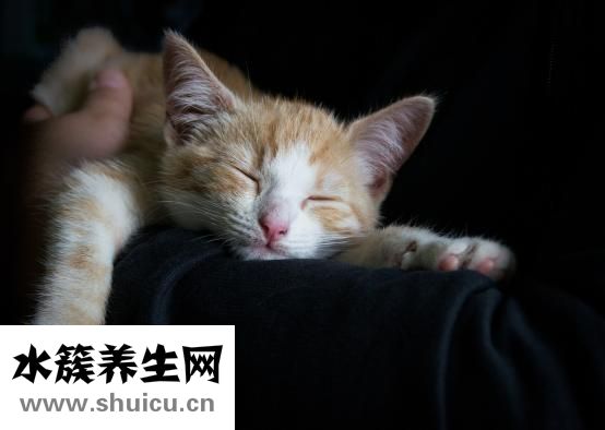 红血丝怎么修复