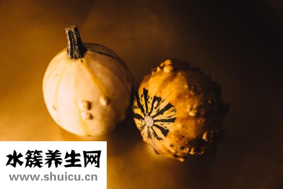 哺育的近义词是什么