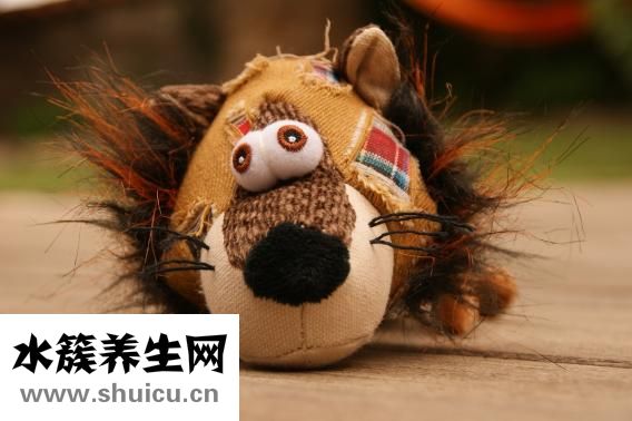 北极熊为什么不怕冷