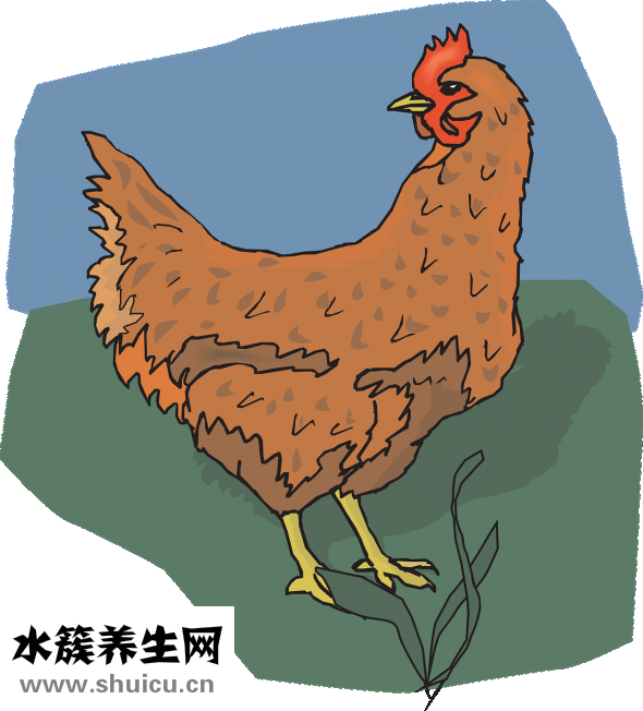 鸡翅木手串怎么样