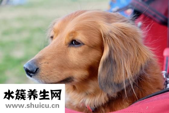 宝宝湿疹怎么治疗