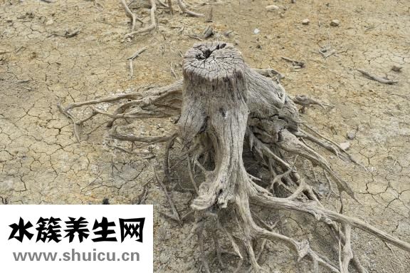 单眼皮如何化妆