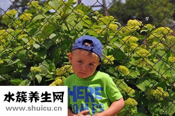 二胎准生证如何办理