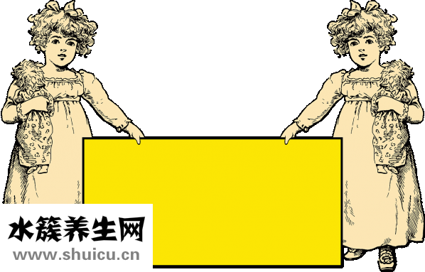 光明汽车玻璃怎么样