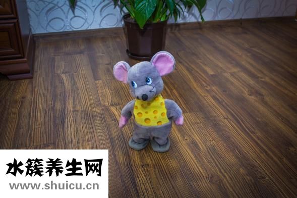 儿童早餐吃什么