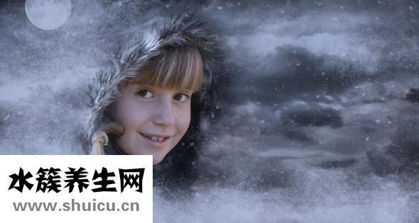 如何养富贵竹