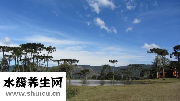 薇姿怎么样