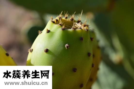 中秋节为什么吃月饼