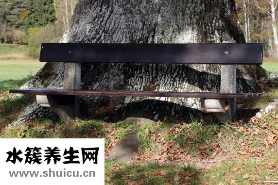 高考落榜上什么学校