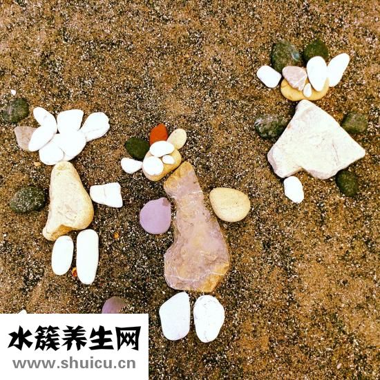 如何办理独生子女证
