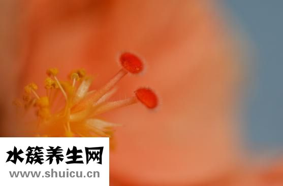 冻疮怎么办