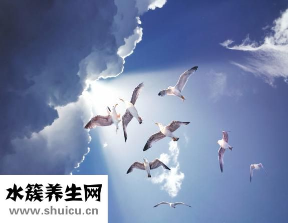 久久理财怎么样