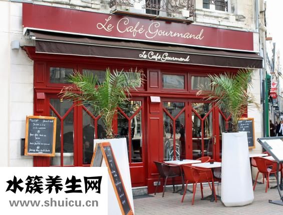 什么酒店好