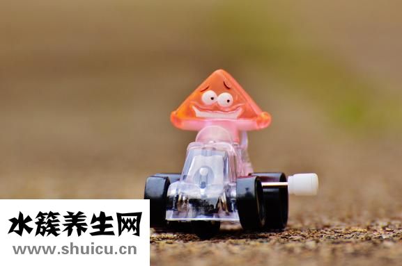 如何增强孩子抵抗力