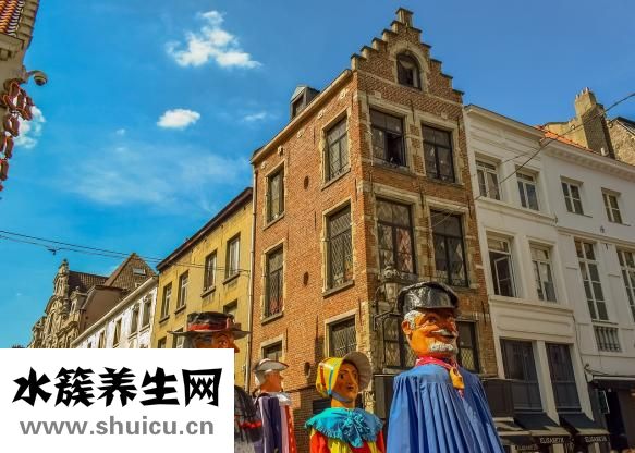 毒蘑菇吃了会怎么样