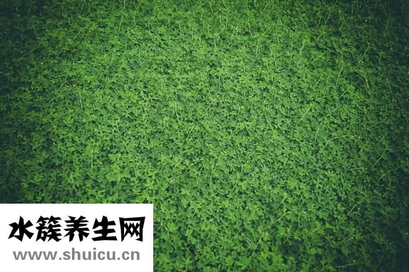 大便绿色怎么回事