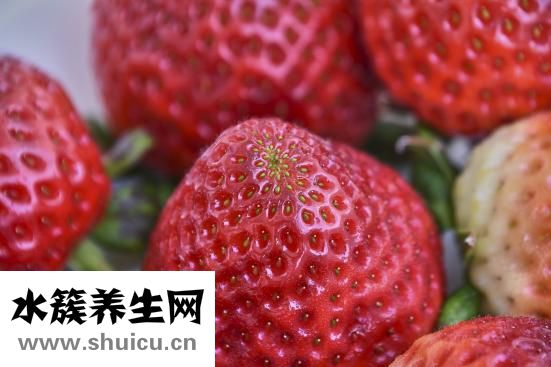 绿活泉怎么样