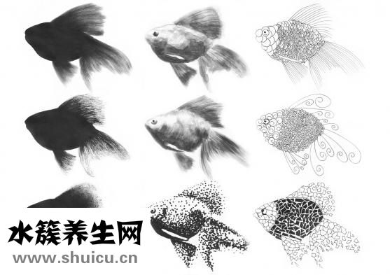 如何化眼妆