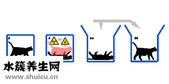 怎么样红烧鸡爪