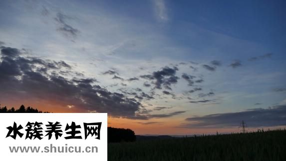云集微店怎么样