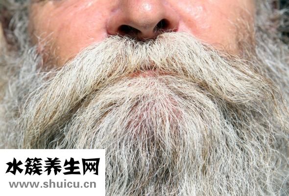 胡小怀怎么样