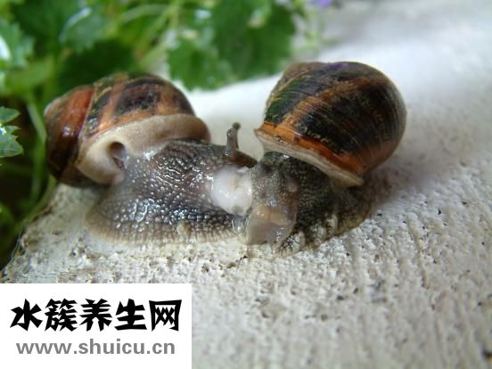 路伊梵健身服怎么样