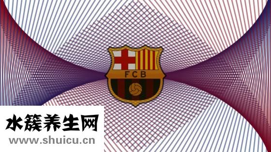 贝氏麦片怎么样