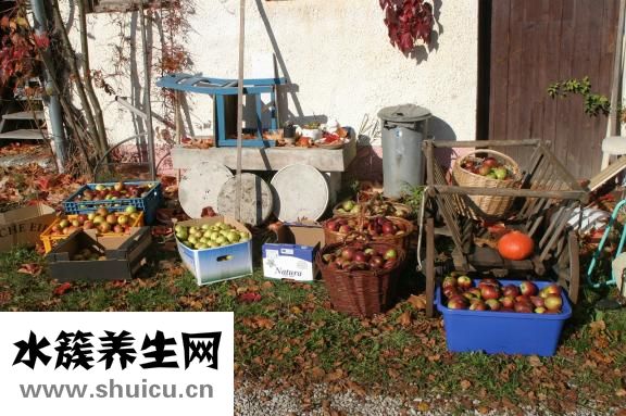 冰糖炖梨怎么做