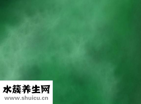 绿活泉怎么样