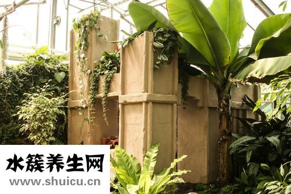 瑞士皇家唇膏怎么样