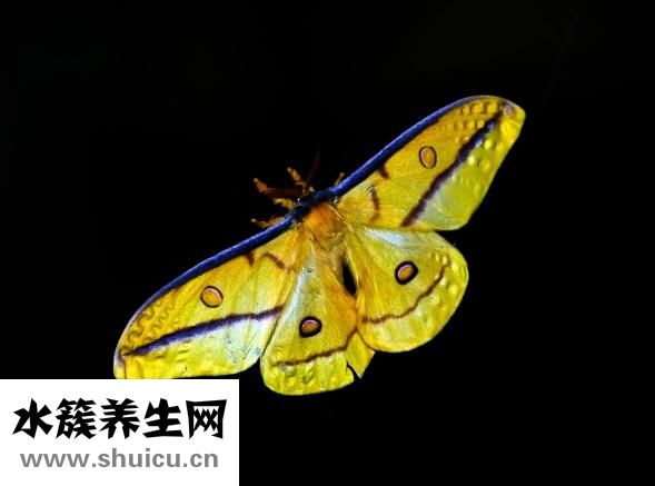 女教练怎么样