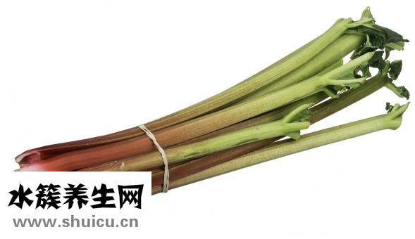 如何安全减肥