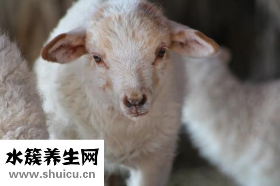 怎么给宝宝换奶粉