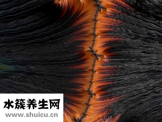 头发比较稀疏怎么办