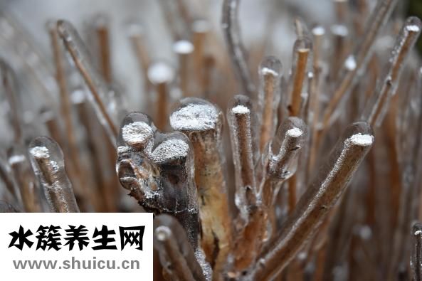雅漾洁肤凝胶怎么样