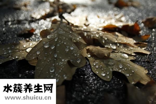 体温计碎了怎么办